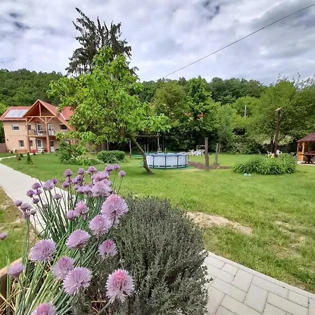 Fonagy Konukevi *