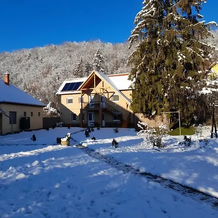 Fonagy * Nagyvisnyó