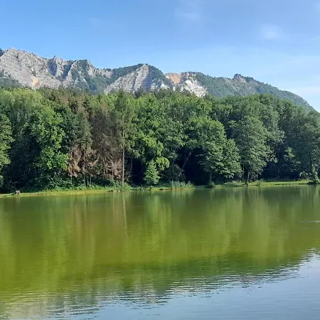 Konukevi Fonagy Nagyvisnyó