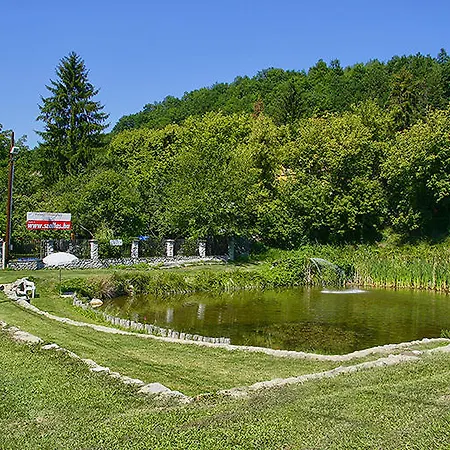 Fonagy Nagyvisnyó