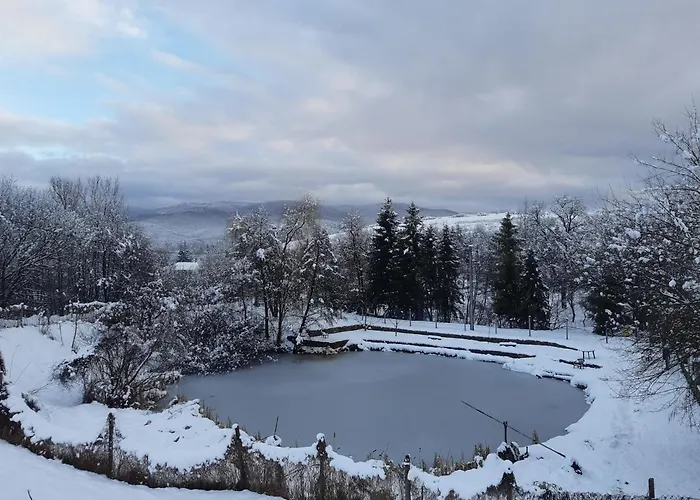 Fonagy Nagyvisnyó