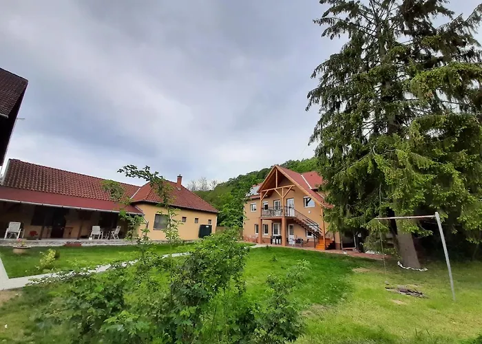 Fonagy