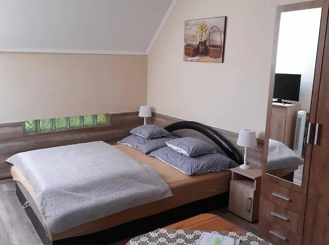 Fonagy Pensjonat Nagyvisnyó